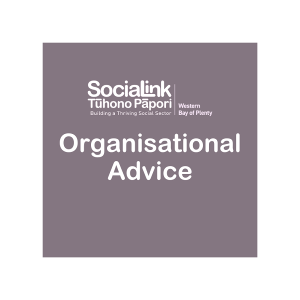 SociaLink – Organisational Advice