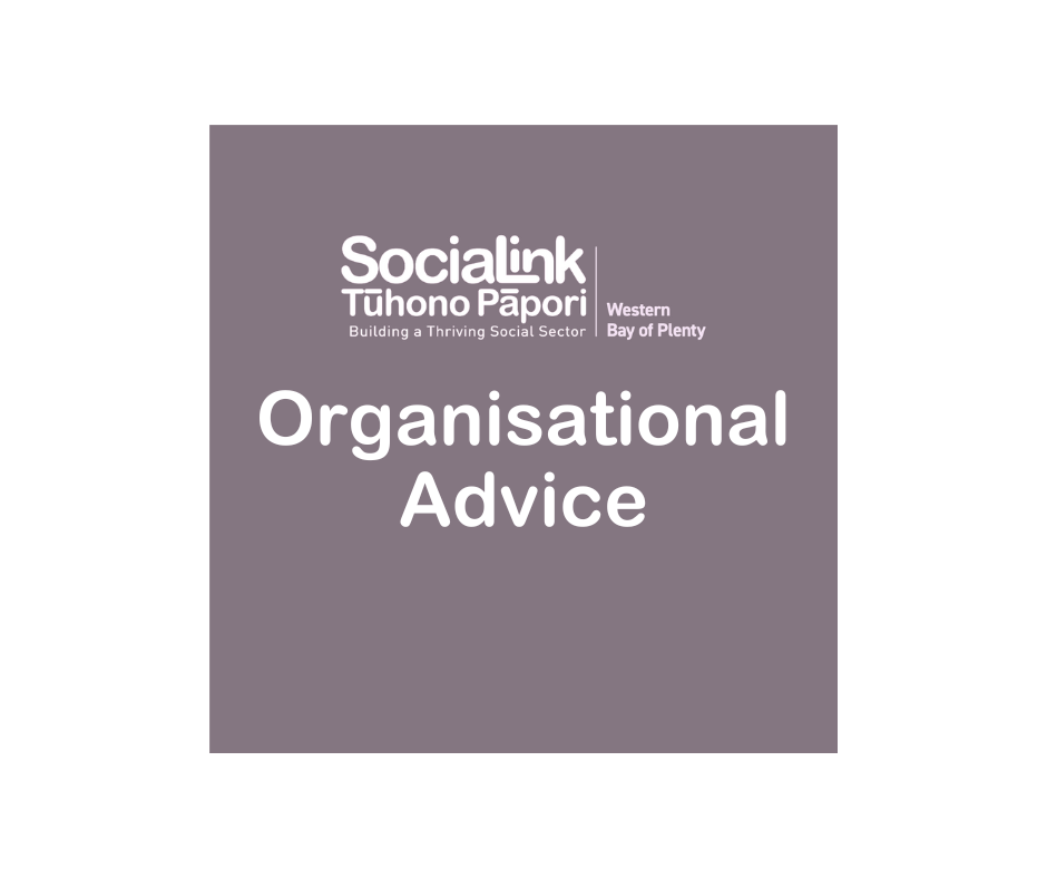 SociaLink – Organisational Advice