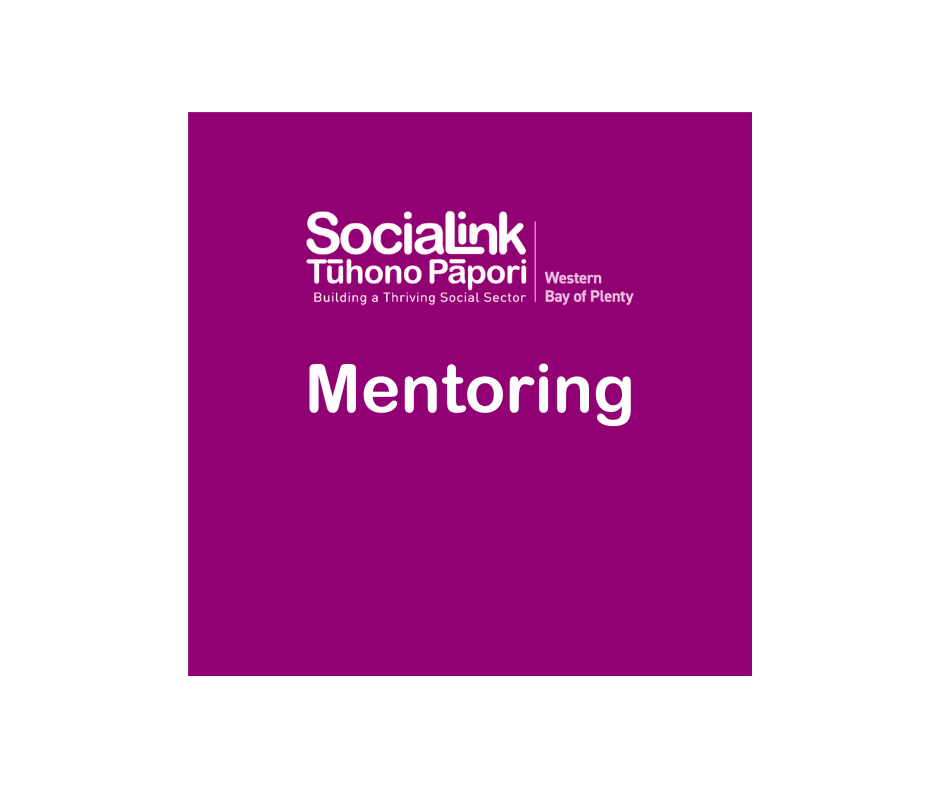 SociaLink – Mentoring