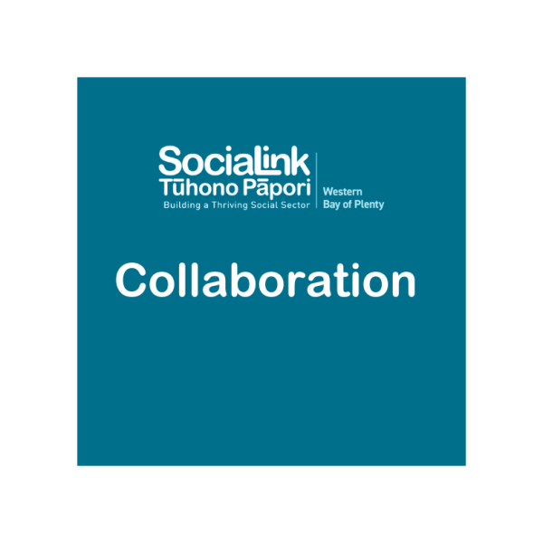SociaLink – Collaboration